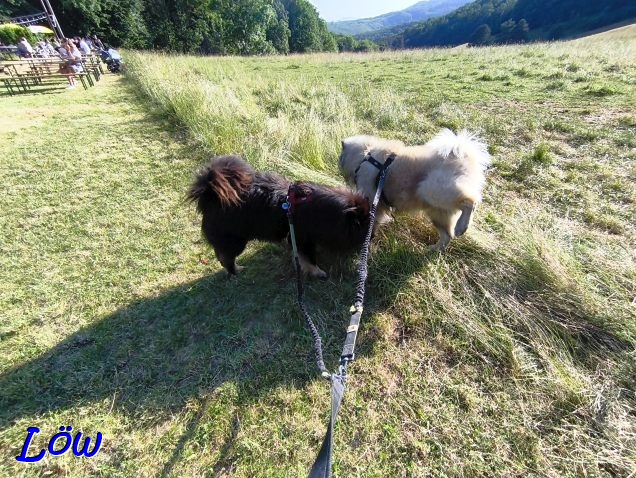 21.6.2025 - Howard und Dwix halten Abstand